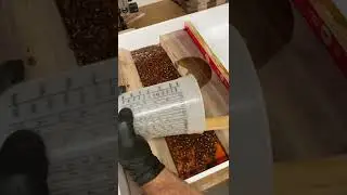 Разделочная доска из эпоксидной смолы.
