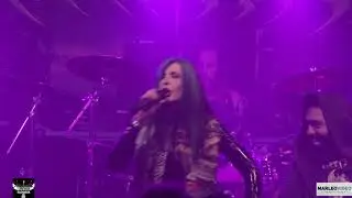 Temtris, Full show @ Ragnarok Bree (B) Multicam