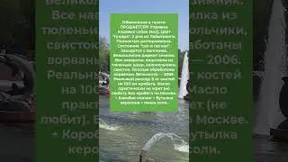 Объявление в газете... #анекдоты #приколы #шутки