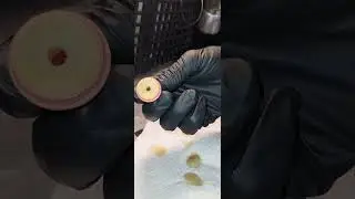 How to refill/disassemble/reassemble Lost Mary  MO20,000 Pro disposable vape