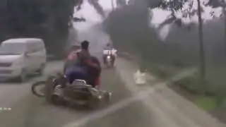 ! Смех