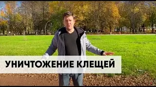Гринери. Акарицидная обработка. Клещи. Уничтожение клещей