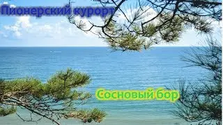 ПИОНЕРСКИЙ КУРОРТ. СОСНОВЫЙ БОР. НАШЕСТВИЕ МЕДУЗ!