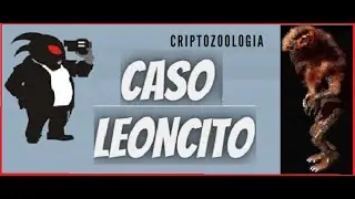 EL LEONCITO DE MEXICALI