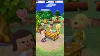 animal crossing but in a bad video