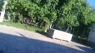 Аблава , в Таджикистан