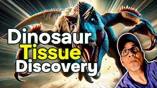 Dinosaur Soft Tissue Discovery: Validating the Great Flood