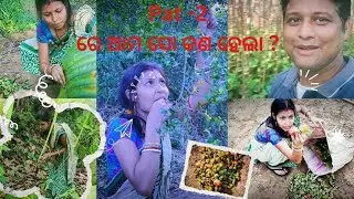 pat - 2 ରେ କଣ ସବୁ ହେଲା ?...#ଚାଲନ୍ତୁ ଦେଖିବା ଏଇ video ରେ //..... @..