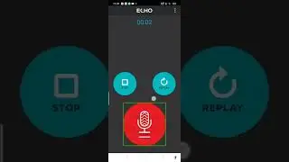 how to use echo application very interesting and very scary application blind uses with TalkBack
