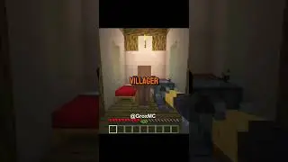 Unexpected Twist in Minecraft Village!
