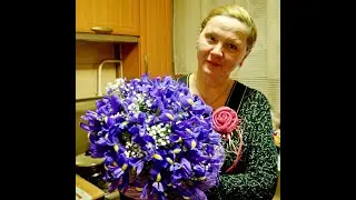 Влог 15 августа
