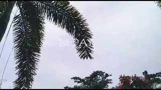 UNBK Day 1 - Bahasa dan Budaya SMANSA BANGKOT