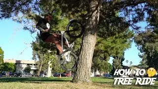 HOW TO TREERIDE FAKIE!