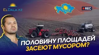 Посев товарной пшеницы в Казахстане — выход или тупик?