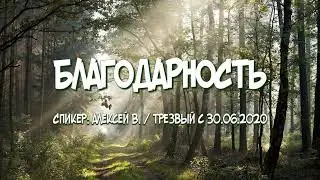 Благодарность / Алексей В. / Трезвый с 30.06.2020