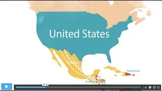 Téa's Coffee: Haitian Immigrants