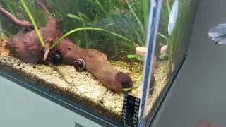 Vyčištění hadic a pohled na plný výkon filtru