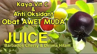 Juice Barbados Cherry Delima Hitam Anti Aging