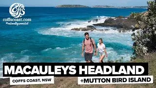 Muttonbird Island & Macauleys Headland - Coffs Harbour