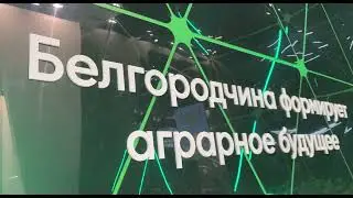Золотая осень – 2021