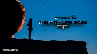 You'll Get Over It - The Way Life Goes Remix | (Visualizer)