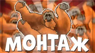 DEBE-NE-NEHA - MONTAGE | (YAROS, RUDY, SAUSAGE, IKE)