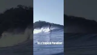 Escape to a tropical paradise at our surf retreat #surfing #retreat #explore
