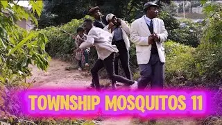 TOWNSHIP MOSQUITOS 11