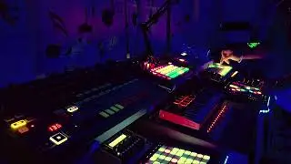 Each Beat an Pulse of Energy  #psytrance #noncommercial #producerlife #ableton12 #akaiforce 