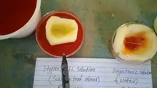 Osmosis ||Activity in potato#easy science activities#trendingvideo