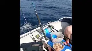 рыбалка с лодки пвх средиземное море израиль барабулька