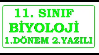 11. Sınıf Biyoloji 1. Dönem 2. Yazılı