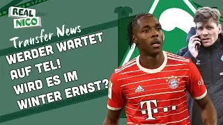Werder wartet auf TEL! / Wird es im Winter Ernst?