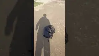 Эд не в духе)