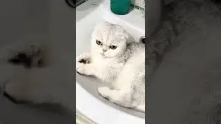 делаю, что хочу))