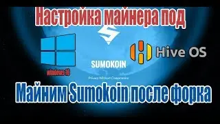 Майним Sumokoin после Форка! Настройка под Windows и HiveOS CryptoNight-Heavy