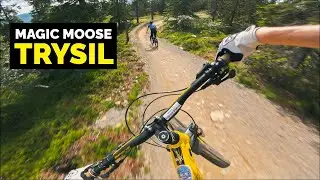 Magic Moose - Trysil Bike Arena