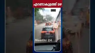 എറണാകുളത്ത് ശക്തമായ മഴ | Rain Alert | Kerala Weather update | Neethi 24