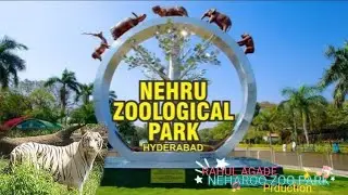 NEHROO ZOO PARK 1ST VLOG PRIYA DANCE CLASSES TOUR