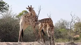 Life along the SAND RIVER