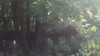 Парк Новознаменка на Петергофском шоссе