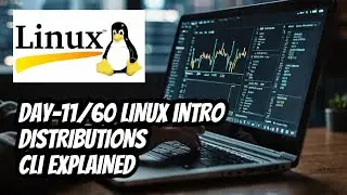 DAY 11/60 Linux-1 Linux Introduction | History, Differences from Windows, Distributions & Cli Basic