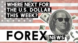 Forex USD Forecast this week! Will It Drop Again?