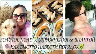 🌾ЗОЛОТОЕ ПОЛЕ 🏋️‍♀️ УПРАЖНЕНИЯ со ШТАНГОЙ 🥑 НАШ ЗАВТРАК 🐈 БЫСТРО ПРИВОЖУ ДОМ в ПОРЯДОК