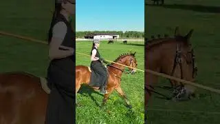 Free horse ride