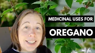 Using Oregano as Medicine (Great for Colds & Coughs!)