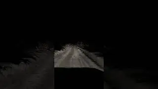 Зимняя дорога