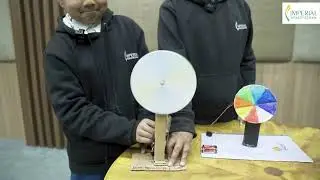 Newtons Disc - Reverse RAINBOW (Blending colors to be white) l IWS Educational Video