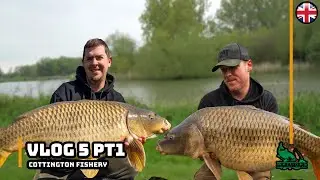Cottington Lakes | New Pepper | Carp Fishing | Chasing the 40lb Carp SOCIAL