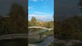Природа в центре Минска🌿#shorts #nature #belarus #minsk #беларусь #минск #природа#рек